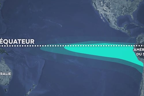 Météo: qu’est-ce qu’un épisode El Niño?