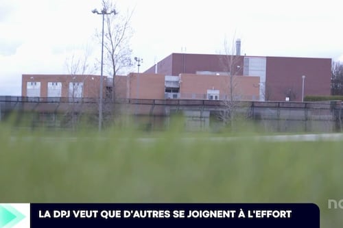 Le bilan 2025-2026 de la DPJ dans la région de Québec