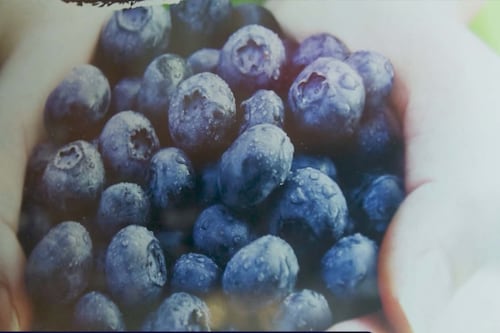 Produits québécois: beaux, bons, pas chers?