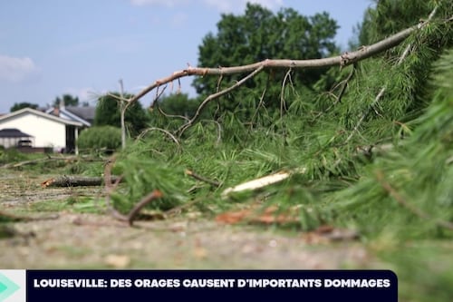 Noovo Info Estrie | 03-07-2026 | L’actualité par Noovo Info