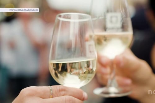 Le 19e Festival des vins de Saguenay bat son plein