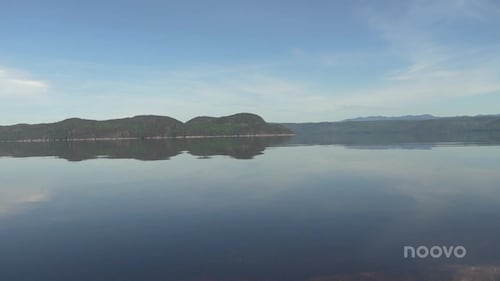 Restauration des rives: 200 000 $ de financement pour la seconde phase au Saguenay
