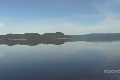 Restauration des rives: 200 000 $ de financement pour la seconde phase au Saguenay
