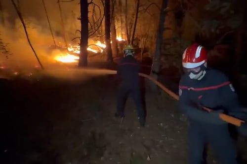 France: Important feu dans la forêt de Fontainebleau près de Paris