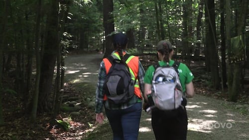 Sherbrooke prend le pouls de la santé de ses parcs