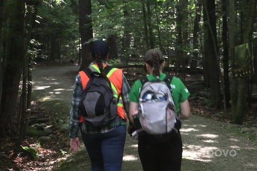 Sherbrooke prend le pouls de la santé de ses parcs