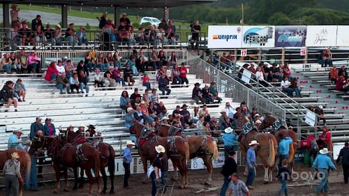 Le festival du cowboy de Chambord bat son plein