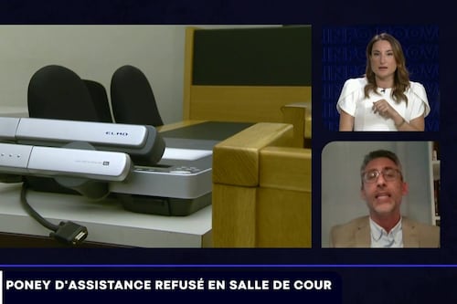 Analyse | Poney d’assistance refusé en salle d’audience: «un cas très exceptionnel»