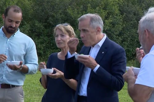 Mark Carney visite une bleuetière au Saguenay