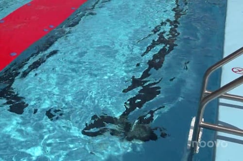 Une nouvelle piscine au coût de 3,4 M$ inaugurée à Alma
