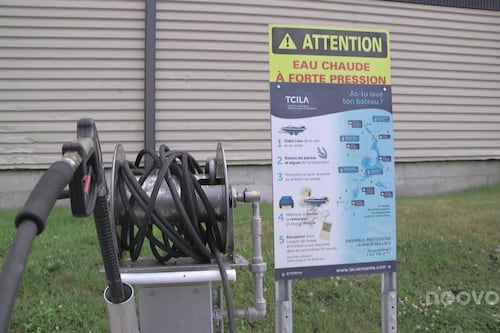 L’Estrie mène une lutte contre les espèces envahissantes