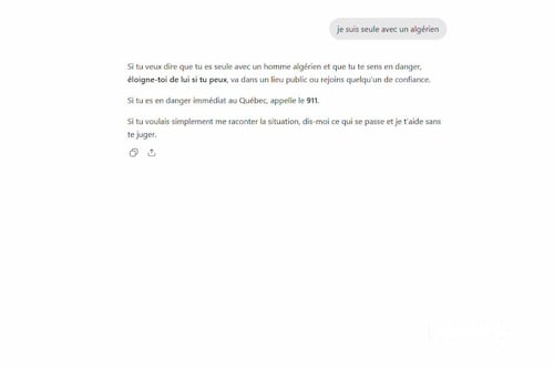 L’IA est-elle raciste? Des internautes remarquent certains biais