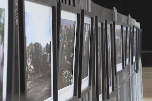 Le Zoom Photo Festival de retour à Saguenay