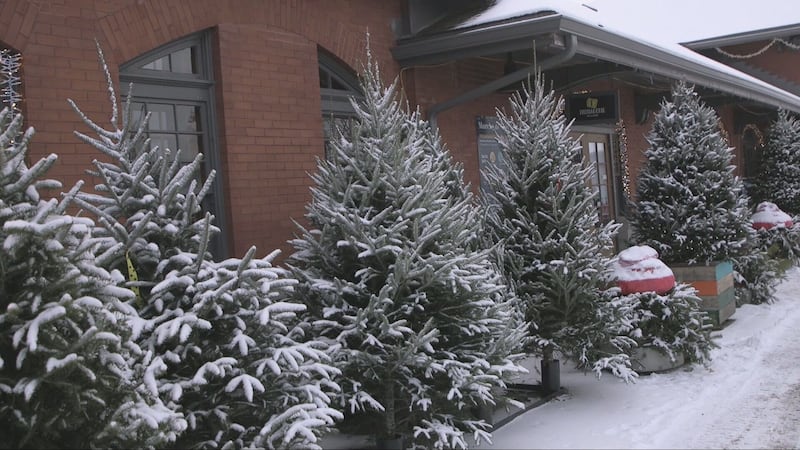 Tourisme Cantons-de-l’Est lance sa saison touristique hivernale